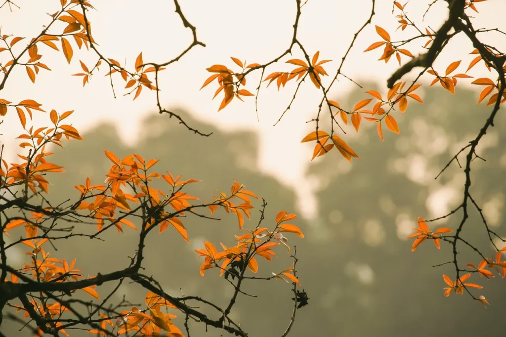 Last van een herfstdip?!